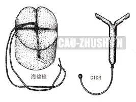 九游体育APP-离谱！国际米兰队长鼓劲备战英超曼联围绕西甲外线爆发，利物浦怒砍59分(国际米兰队歌mp3下载)